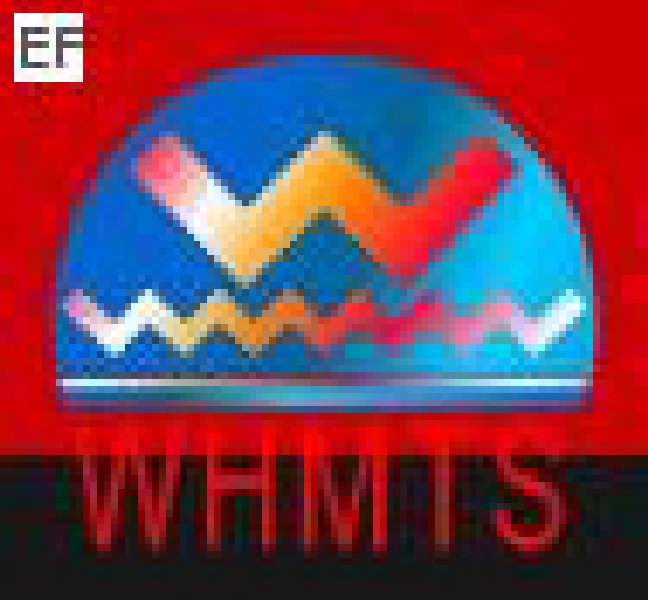 2008華中地區(qū)(武漢)第五屆機床工具展覽會