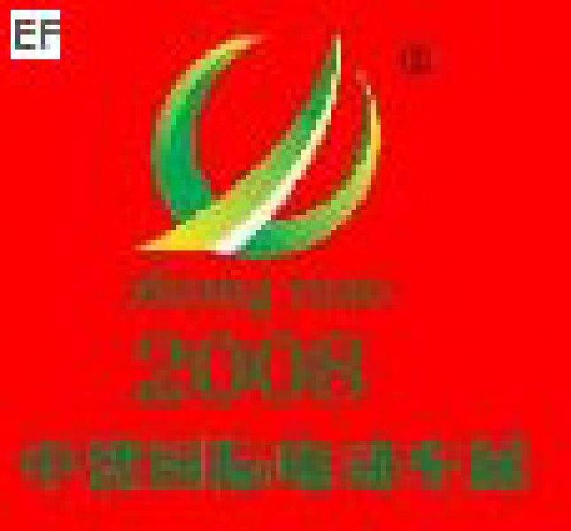2008第五屆中國(guó)(濟(jì)南)國(guó)際自行車(chē)電動(dòng)車(chē)展覽會(huì)