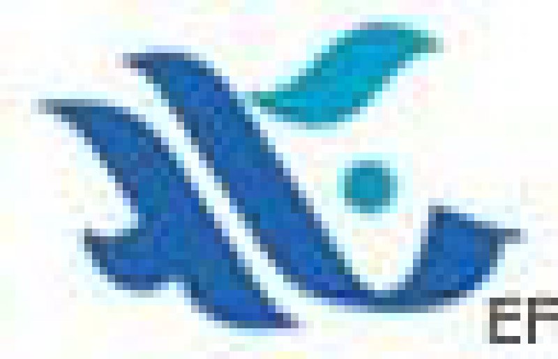 2008國(guó)際電力電工及高低壓電器(義烏)采購(gòu)交易會(huì)