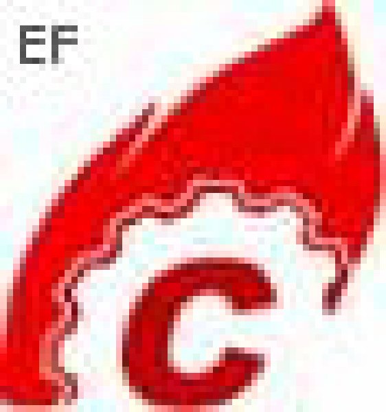 第十屆中國(guó)國(guó)際水泥技術(shù)及裝備展覽會(huì)