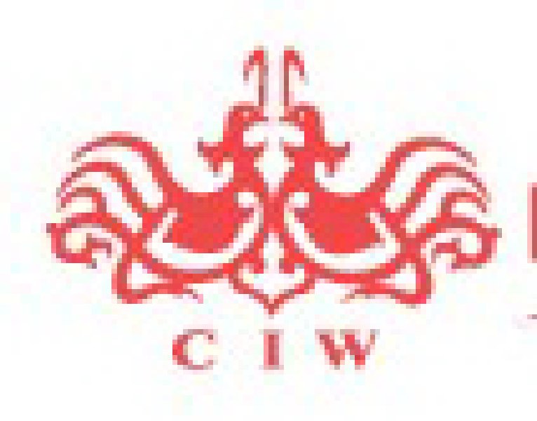 2010冬季中國(guó)(北京)國(guó)際婚博會(huì)