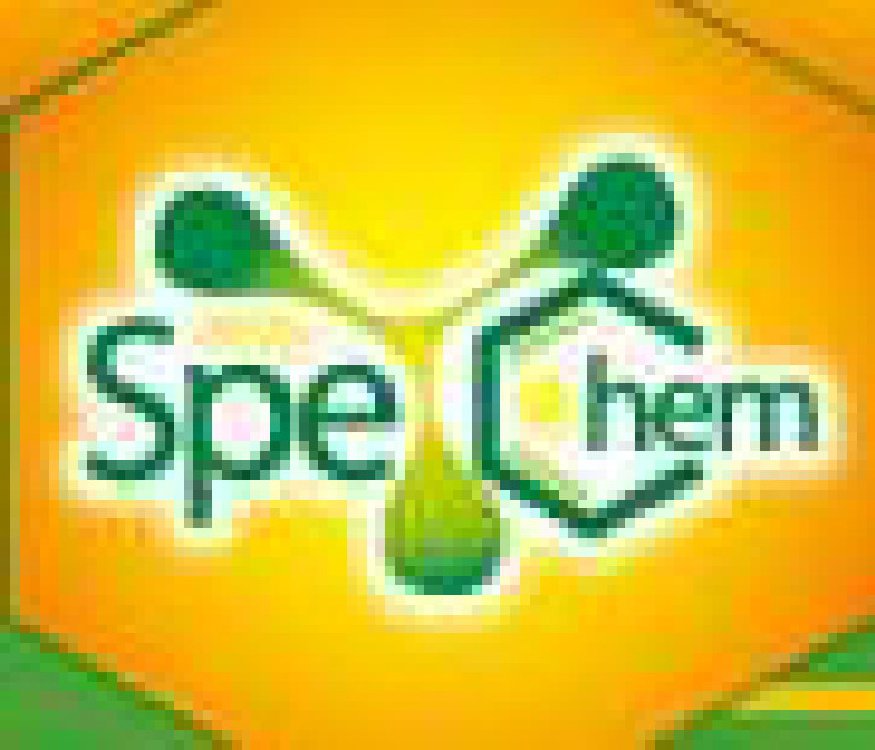 2011中國國際精細(xì)化工及定制化學(xué)品展覽會