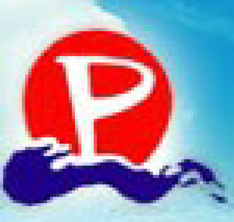 2011第19屆太平洋(哈爾濱)全國藥交會(huì)