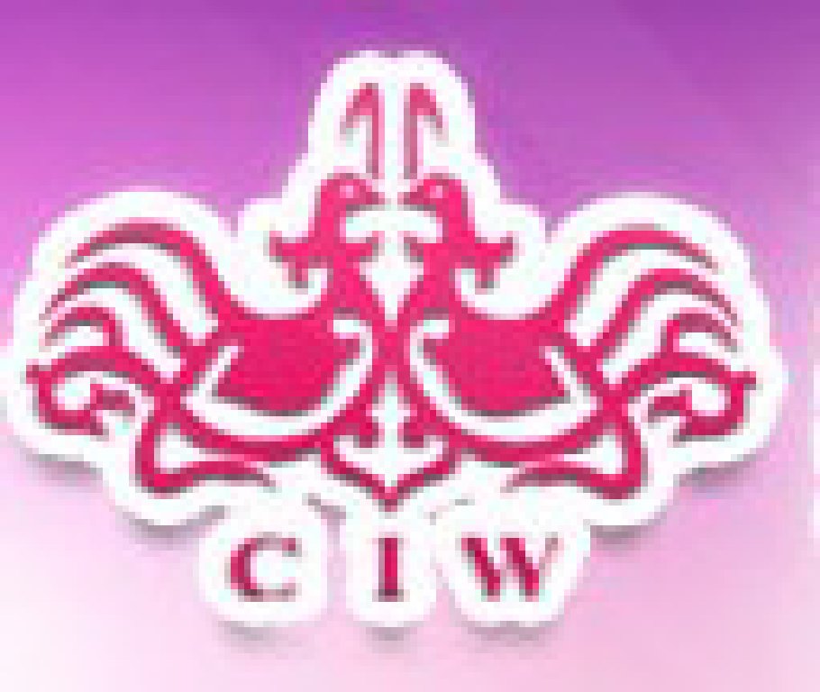 2011秋季中國(guó)(上海)國(guó)際婚博會(huì)