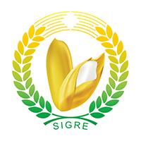 2017第三屆上海國際養(yǎng)生雜糧及優(yōu)質(zhì)大米展覽會