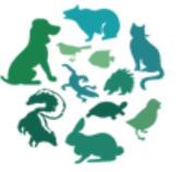 2023第九屆中國(guó)(深圳)國(guó)際寵物用品展